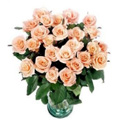 Send Flowers to Delhi