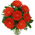 Valentines Flowers to Delhi: Valentines Day Flowers to Delhi