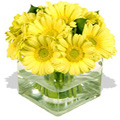Flowers to Delhi