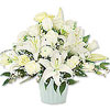 Send Flowers to Delhi
