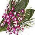 Send Flowers to Delhi