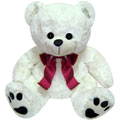 Gifts to Delhi : Send Birthday Gifts to Delhi