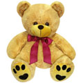 New Year Gifts to Delhi : Soft Toys to Delhi