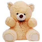 Gifts to Gurgaon : Soft Toys to Gurgaon