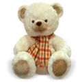 Gifts to Delhi : Send Birthday Gifts to Delhi
