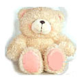 Send Gifts to Delhi