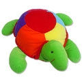 Turtle to Delhi : Send Gifts to Delhi