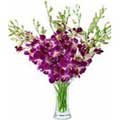 Flowers to Delhi : Send Flowers to Delhi