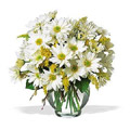 Send Flowers to Delhi : Vase Arrangement of Flowers to Delhi