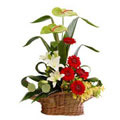 Anthurium Flowers to Delhi : Send Flowers to Delhi