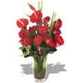 Anthurium Flowers to Delhi : Send Flowers to Delhi