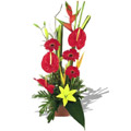 Anthurium Flowers to Delhi : Send Flowers to Delhi