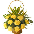 Flowers to Delhi : Send Flowers to Delhi : Yellow Carnation Basket