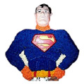 Send Cakes to Delhi : Send Superman Cakes to Delhi