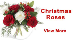 Send Christmas Roses to Allahabad