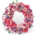  Flowers to Delhi : Send Flowers to Delhi