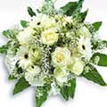 Flowers to Delhi : Send Flowers to Delhi 
