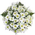 Flowers to Delhi : Send Flowers to Delhi 