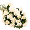 Flowers to Delhi : Send Flowers to Delhi 