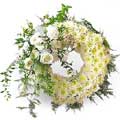  Flowers to Delhi : Send Flowers to Delhi
