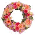 Flowers to Delhi : Send Flowers to Delhi : Red and White Gerbera Bouquet