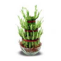 Send Crystalware  to Delhi, Send Gifts to Delhi