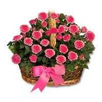 Send Friendship Day Flower to Delhi : 24 Pink Roses Basket to Delhi