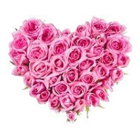 Valentine's Day Flowers to Delhi : Pink Roses Heart