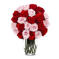 Online Birthday Flower Delivery in Delhi : Red Pink Roses Delhi