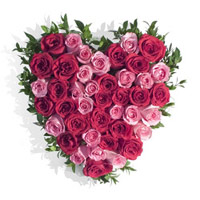 Valentine's Day Flowers to Delhi : Pink Red Roses Heart