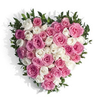 Send Flowers to Noida : Pink White Roses Heart