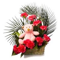 Order for Red Carnation Small Teddy Basket of 12 Flowers in Delhi on Rakhi