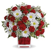 Send White Gerbera Red Carnation Vase 24 Rakhi Flowers to Delhi