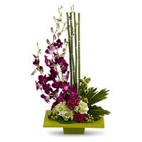 Send Flowers to Delhi including 5 Orchids 10 Carnation Flower Arrangement on Rakhi