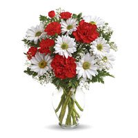 Send Rakhi Flowers to Delhi. White Gerbera Red Carnation Vase 12 Flowers to Delhi