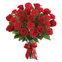 Order forRakhi and Red Rose Carnation Vase 24 Best Flowers to Delhi
