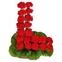 Rakhi and Flower Delivery in Delhi. Online Red Carnation Basket of 24 Flowers Delivery in Delhi