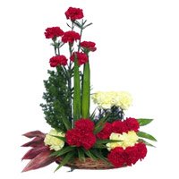 Order Rakhi Red Yellow Carnation Basket 24 Flowers Delivery to Delhi