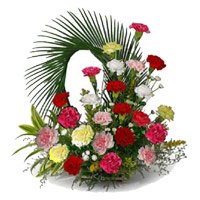Place Order for Mixed Carnation Arrangement 24 Flowers in Delhi on Rakhi