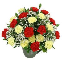 Send Rakhi to Delhi with Red Yellow Carnation Vase 24 Flowers to Delhi