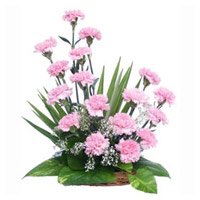 Online Rakhi Delivery in Delhi with Pink Carnation Basket 18 Flowers