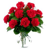 Deliver Rakhi with Red Carnation Vase 12 Flowers to Delhi