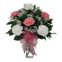 Karwa Chauth Flowers to Delhi Same Day: Carnation Flowers to Delhi