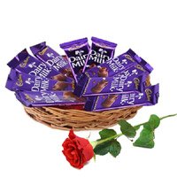 Gift Delivery in Delhi. 12 Dairy Milk Chocolate Basket With 1 Red Rose Bud to Delhi