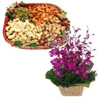 10 Purple Orchids Basket 1/2 Kg Assorted Dry Fruits : Karwa Chauth Gift Hampers to Delhi