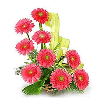Pink Gerbera Basket 12 Flowers