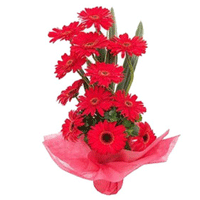 Send 12 Red Gerbera Basket with Rakhi and Flowers to Delhi