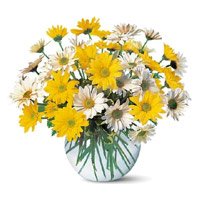 Online Rakhi Flower Delivery to Delhi with Yellow White Gerbera in Vase 24 Flowers to Delhi