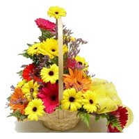 Send Online Mixed Gerbera Basket 12 Flowers with Rakhi in Delhi