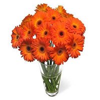 Send Father's Day Flowers to Delhi : Orange Gerbera
